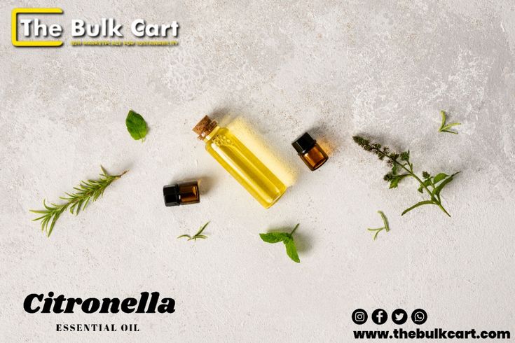 Wholesale Citronella Essential Oil from The Bulk Cart 🌱 _ Premium Quality & Affordable Prices 💰