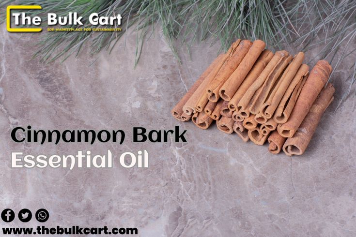 Wholesale Cinnamon Bark Essential Oil 🌿 _ Premium Bulk Supply at The Bulk Cart