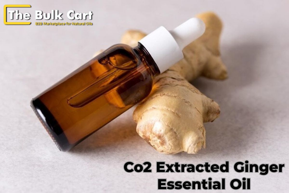 Co2 Extracted Ginger Essential Oil