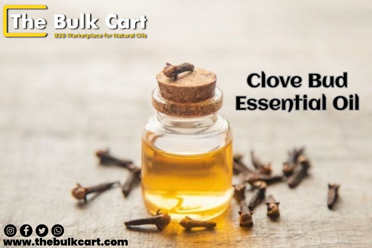 Clove Bud Essential Oil