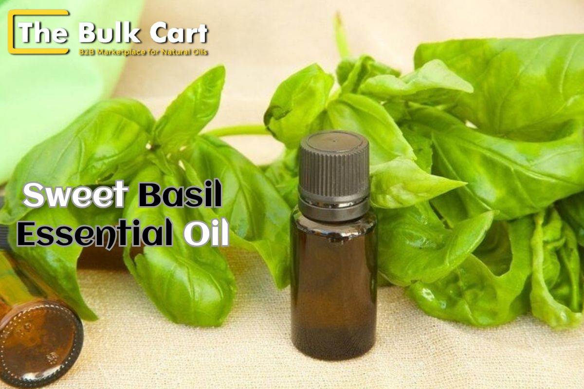 Sweet Basil Essential Oil