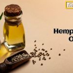 Organic Hemp Seed Oil Wholesale – The Bulk Cart