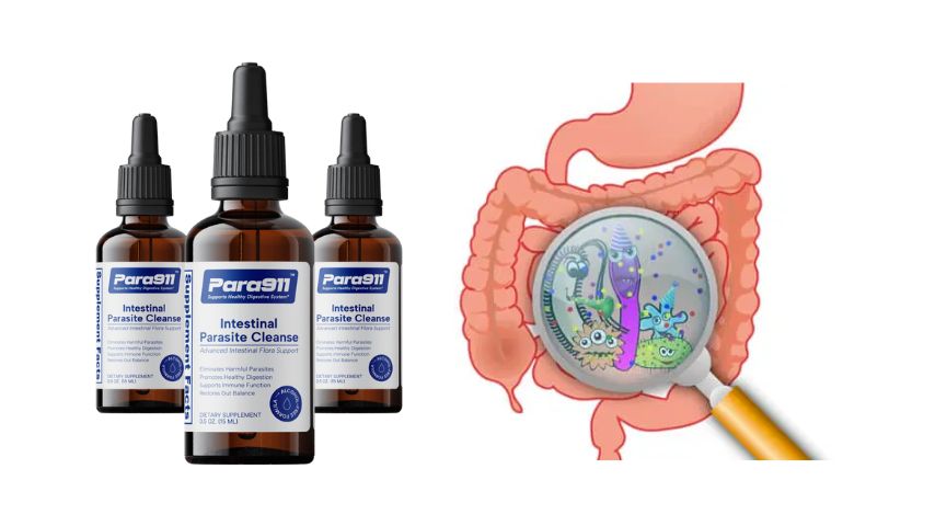 https://www.facebook.com/Para911ParasiteCleanseUK
